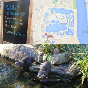 london wetland centre