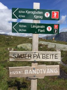 10km return climb to Kjeragbolten 