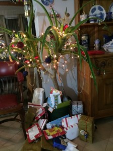 African Christmas tree