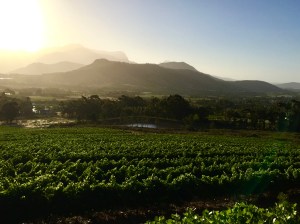 Franschoek, La Petite Ferme