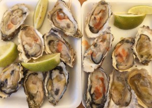 Oysters