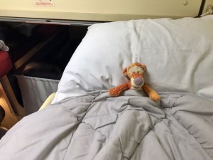 Sleeper train from Petrozavodsk to Moscow