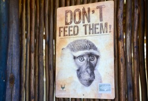 Don't feed the monkeys