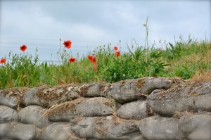 The Somme