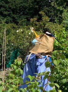 scarecrow with magpie on his head.